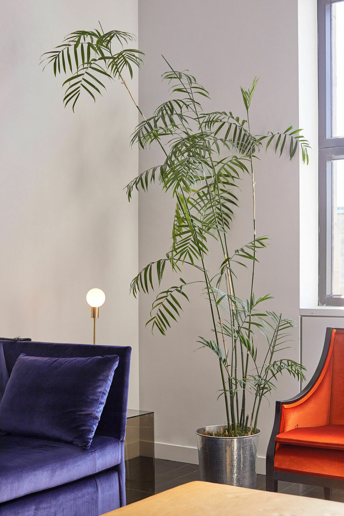 Hotel St Paul, Montreal, A Member Of Design Hotels Interno foto